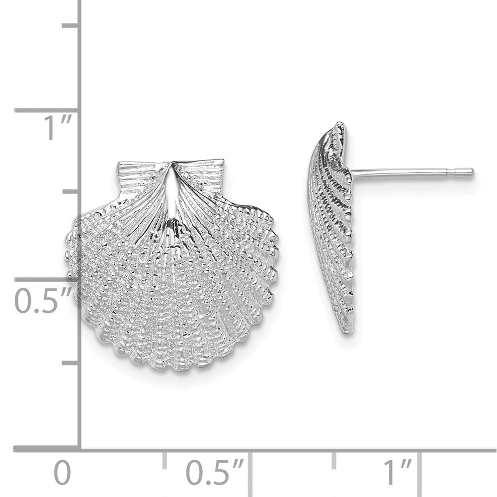 FJC Finejewelers 925 Sterling Silver Button Polished Large Scallop Shell Post Earrings 16 mm x 16 mm