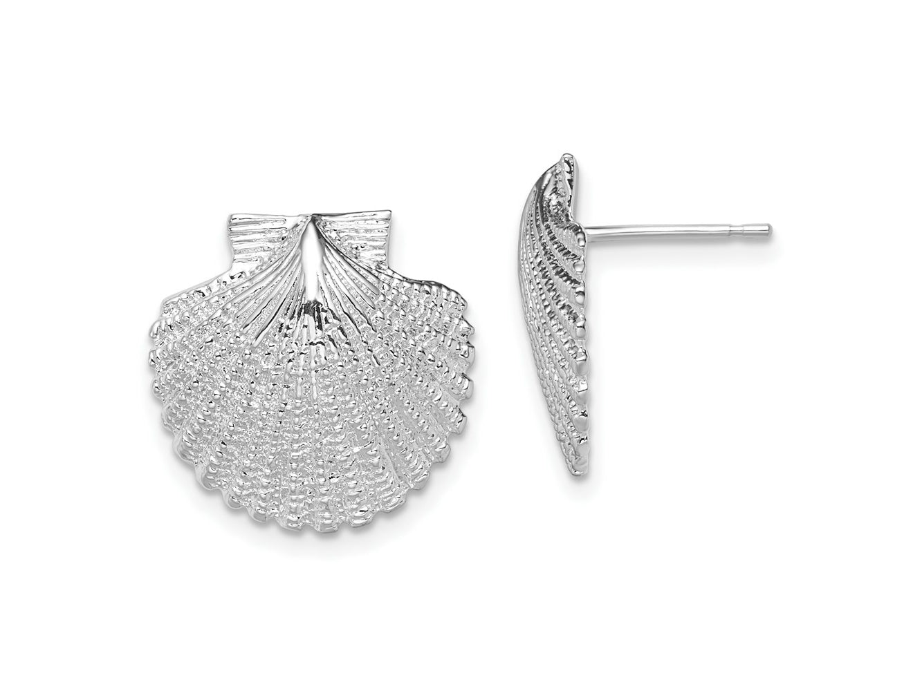 FJC Finejewelers 925 Sterling Silver Button Polished Large Scallop Shell Post Earrings 16 mm x 16 mm