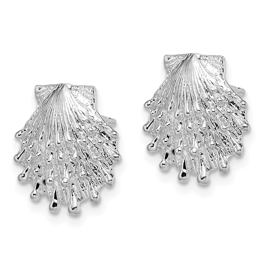 FJC Finejewelers 925 Sterling Silver Button Polished Lions Paw Shell Post Earrings 14 mm x 13 mm