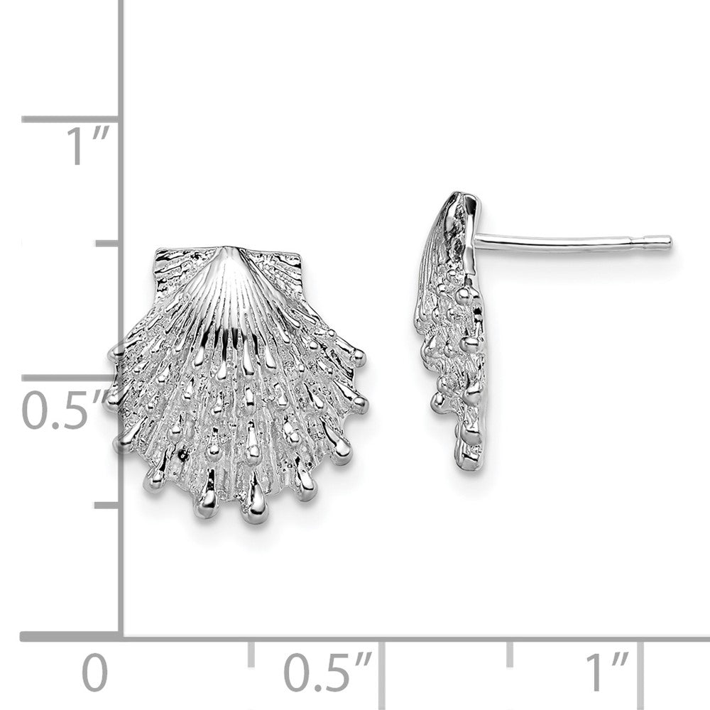 FJC Finejewelers 925 Sterling Silver Button Polished Lions Paw Shell Post Earrings 14 mm x 13 mm