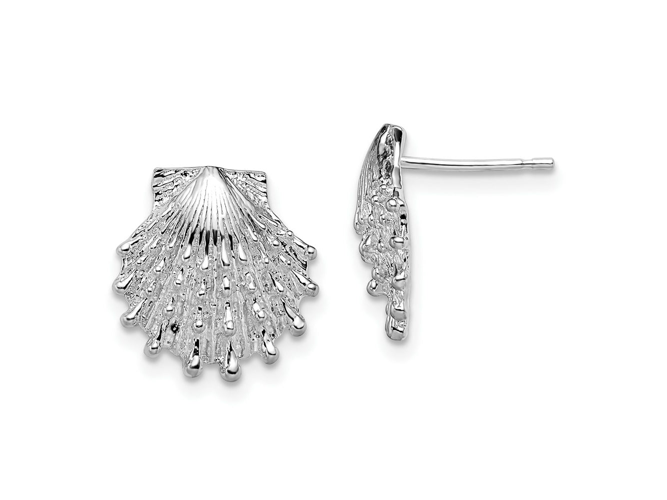 FJC Finejewelers 925 Sterling Silver Button Polished Lions Paw Shell Post Earrings 14 mm x 13 mm