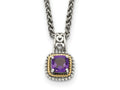 FJC Finejewelers Sterling Silver with 14kt Accent Antiqued with Amethyst Necklace 18 Inches x 12 mm