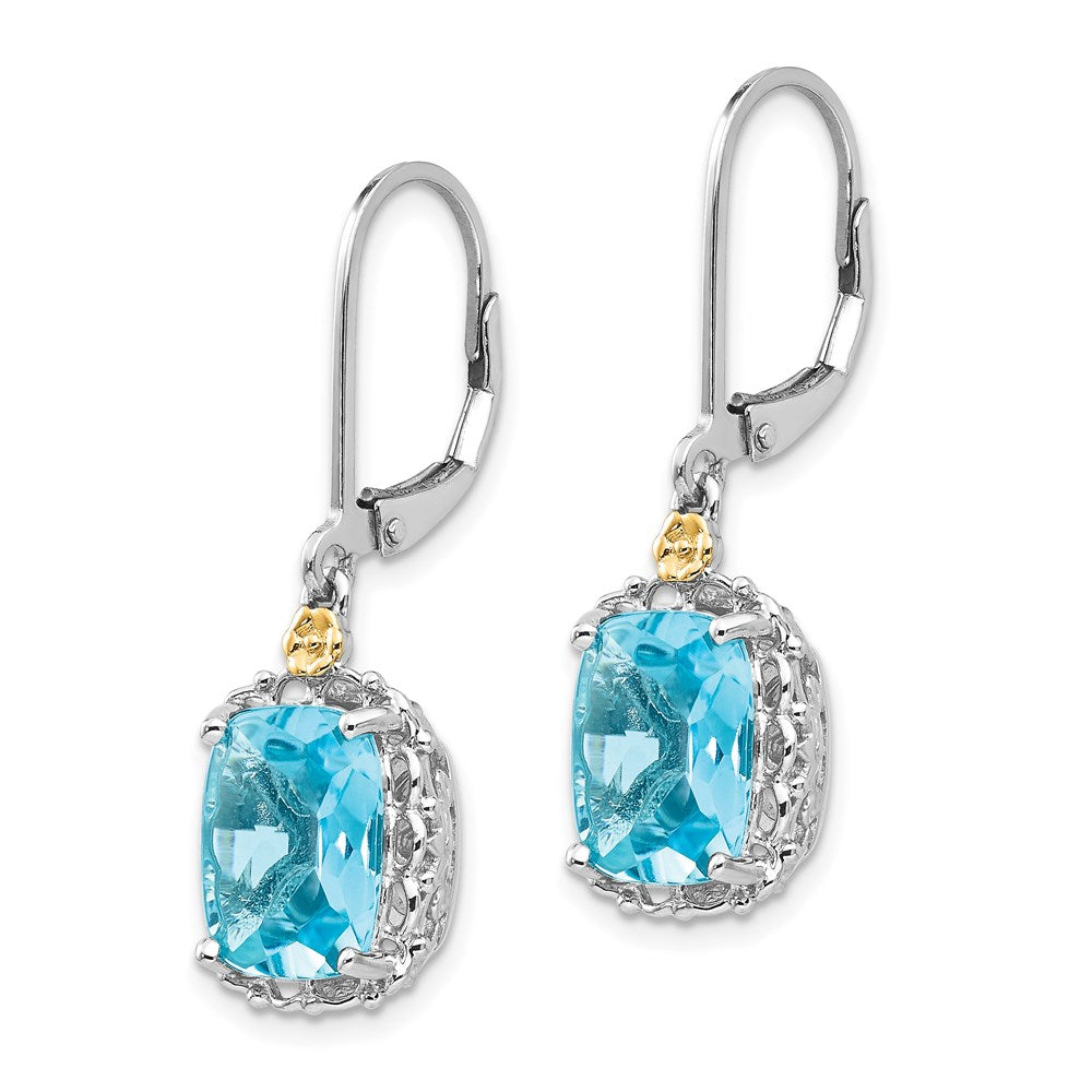 FJC Finejewelers 14k/Silver Two-Tone Dangle Rhodium Plated with 10x8mm Blue Topaz Earrings 32 x 10 mm