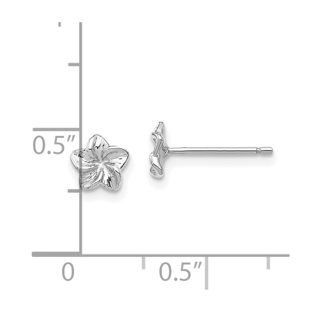 FJC Finejewelers 14 kt White Gold Button Plumeria Flower Post Earrings 5 mm x 5 mm