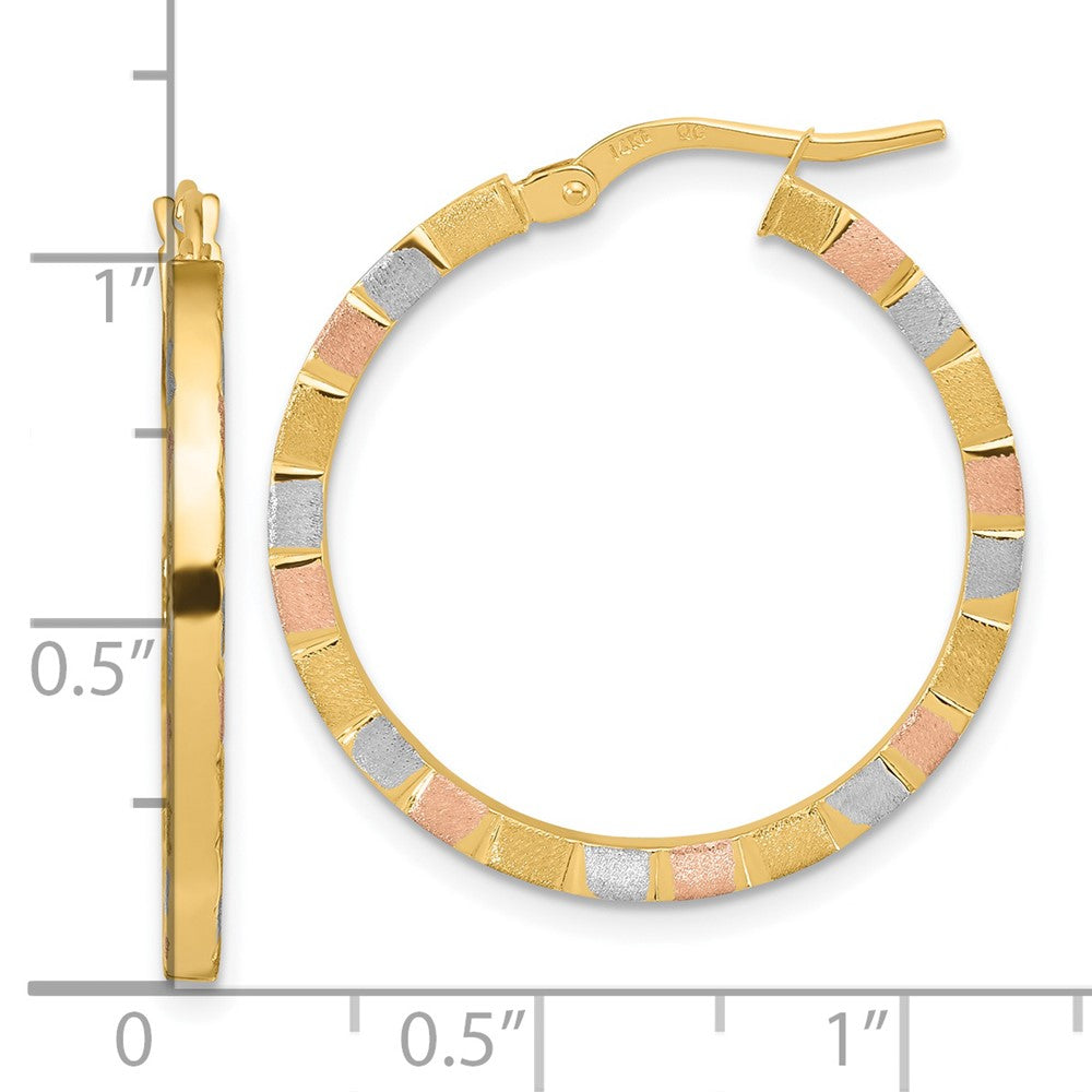 FJC Finejewelers 14 kt Yellow Gold with White and Rose Rhodium Polished and Satin Hoop Earrings 27 x 26 mm
