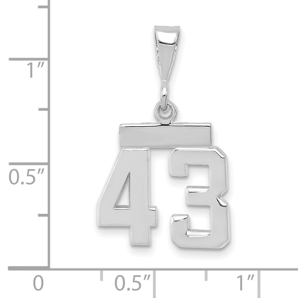 FJC Finejewelers 14 kt White Gold Small Polished Number 43 Charm