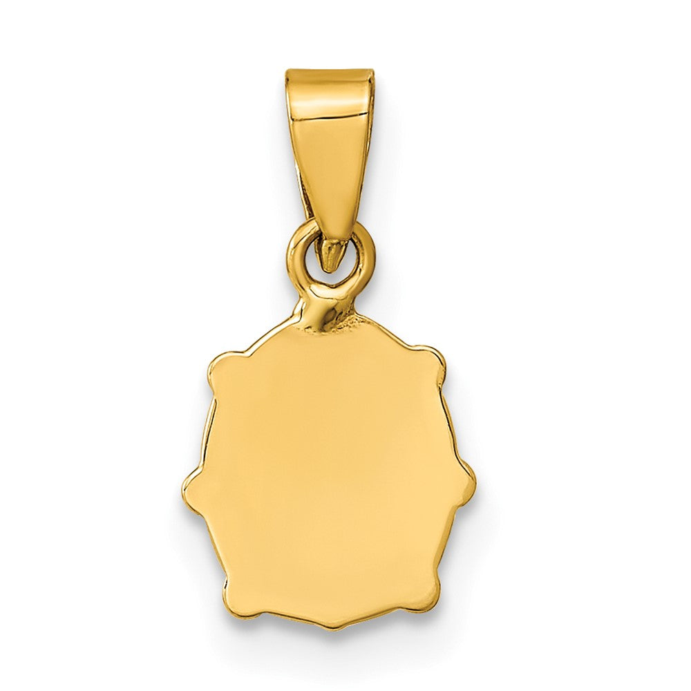 FJC Finejewelers 14 kt Yellow Gold Polished Red and Black Enamel Ladybug Charm 10 x 8 mm