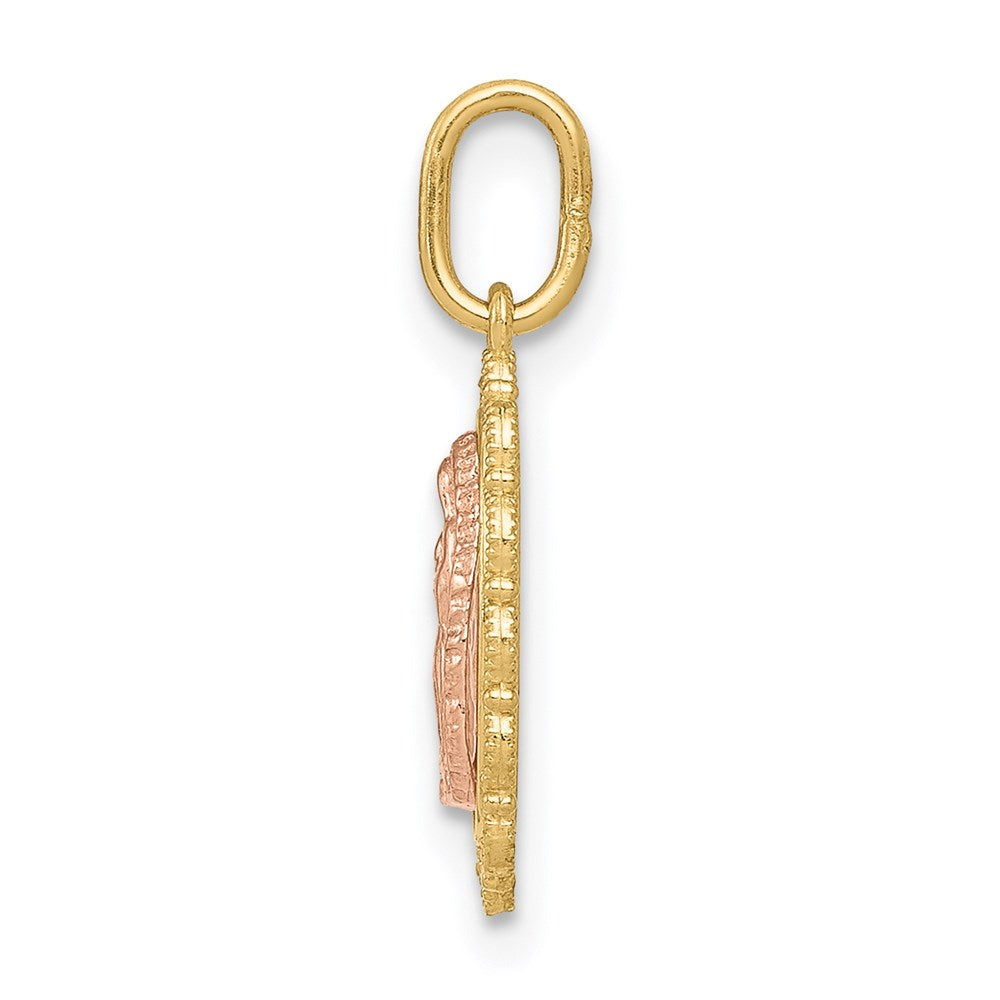 FJC Finejewelers 14 kt Two Tone Gold Guadalupe Charm 18 x 8 mm