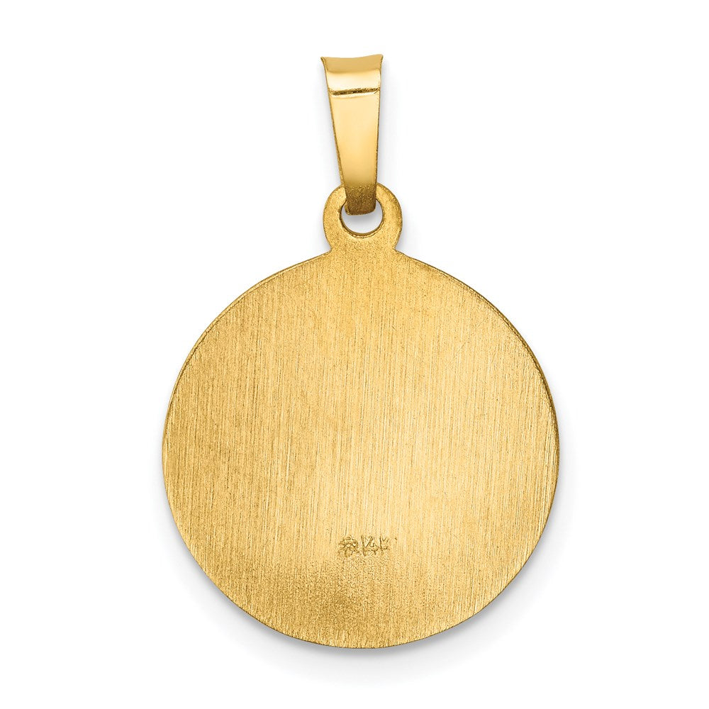 FJC Finejewelers 14 kt Yellow Gold Polished and Satin Sacred Heart of Mary Medal Hollow Charm 22 x 15 mm
