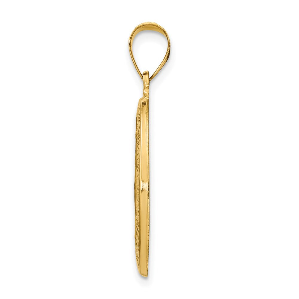 FJC Finejewelers 14 kt Yellow Gold Polished and Satin Miraculous Medal Hollow Charm 30 x 15 mm