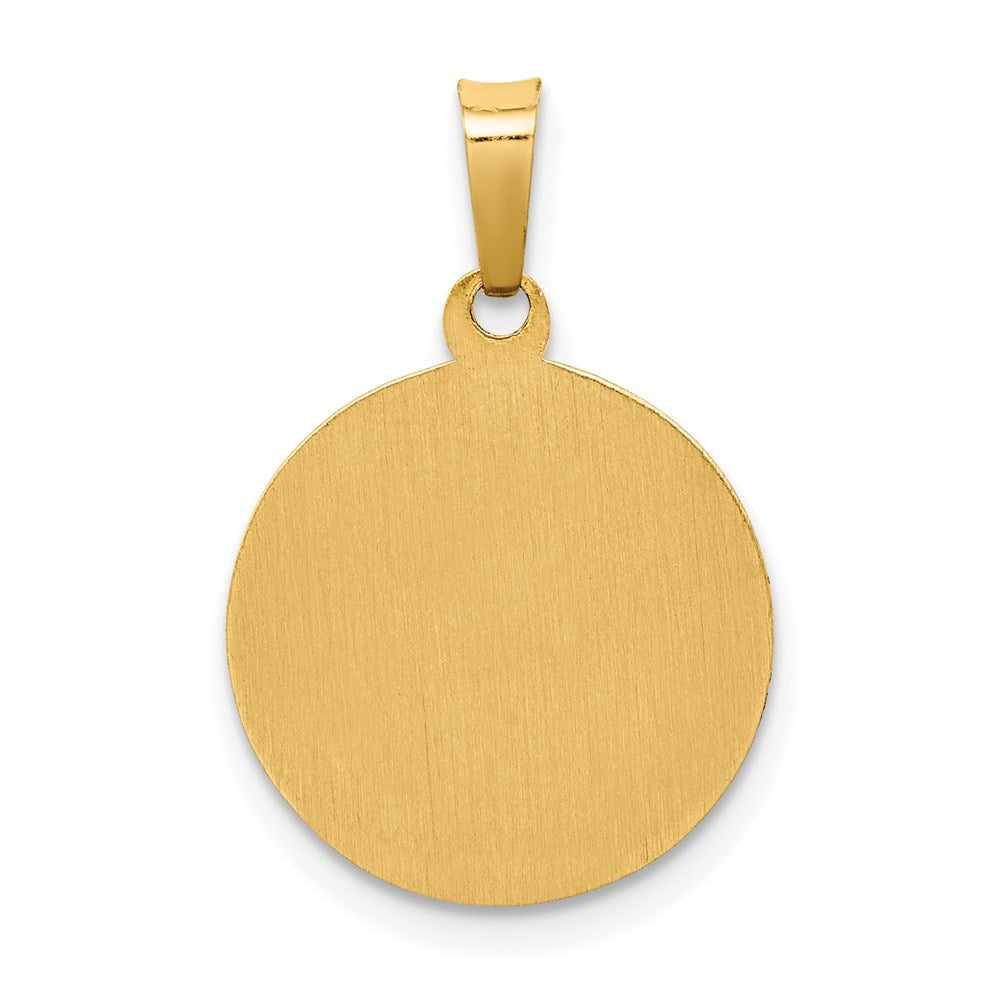 FJC Finejewelers 14 kt Yellow Gold Polished and Satin St Francis Medal Hollow Charm 22 x 15 mm