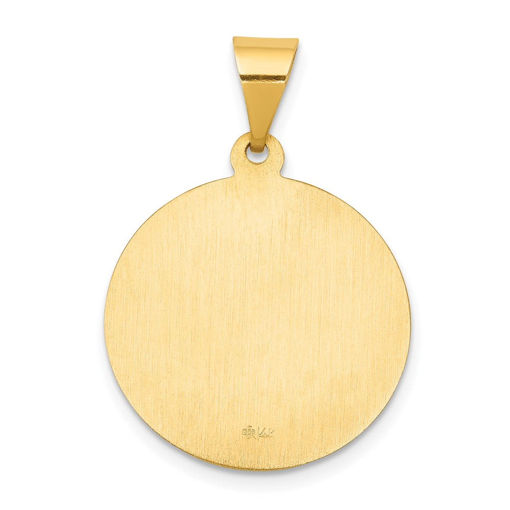 FJC Finejewelers 14 kt Yellow Gold Polished and Satin St Francis Medal Hollow Charm 26 x 18 mm