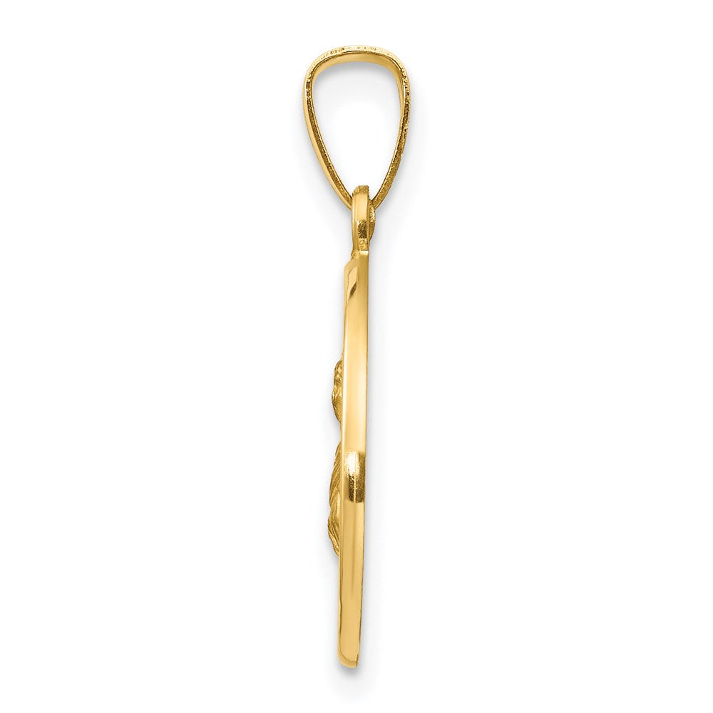 FJC Finejewelers 14 kt Yellow Gold Polished and Satin St Lucy Medal Hollow Charm 22 x 15 mm