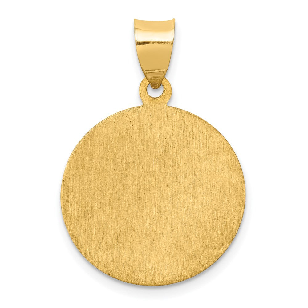 FJC Finejewelers 14 kt Yellow Gold Polished and Satin St Luke Medal Hollow Charm 27 x 19 mm