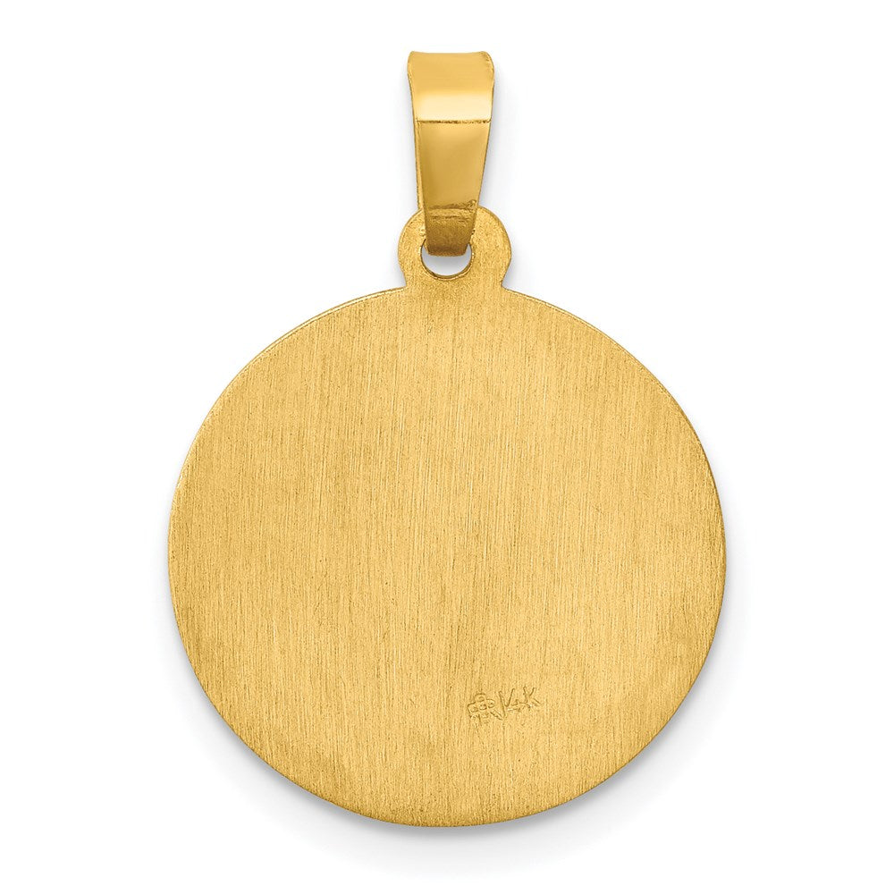 FJC Finejewelers 14 kt Yellow Gold Polished and Satin St Luke Medal Hollow Charm 21 x 15 mm