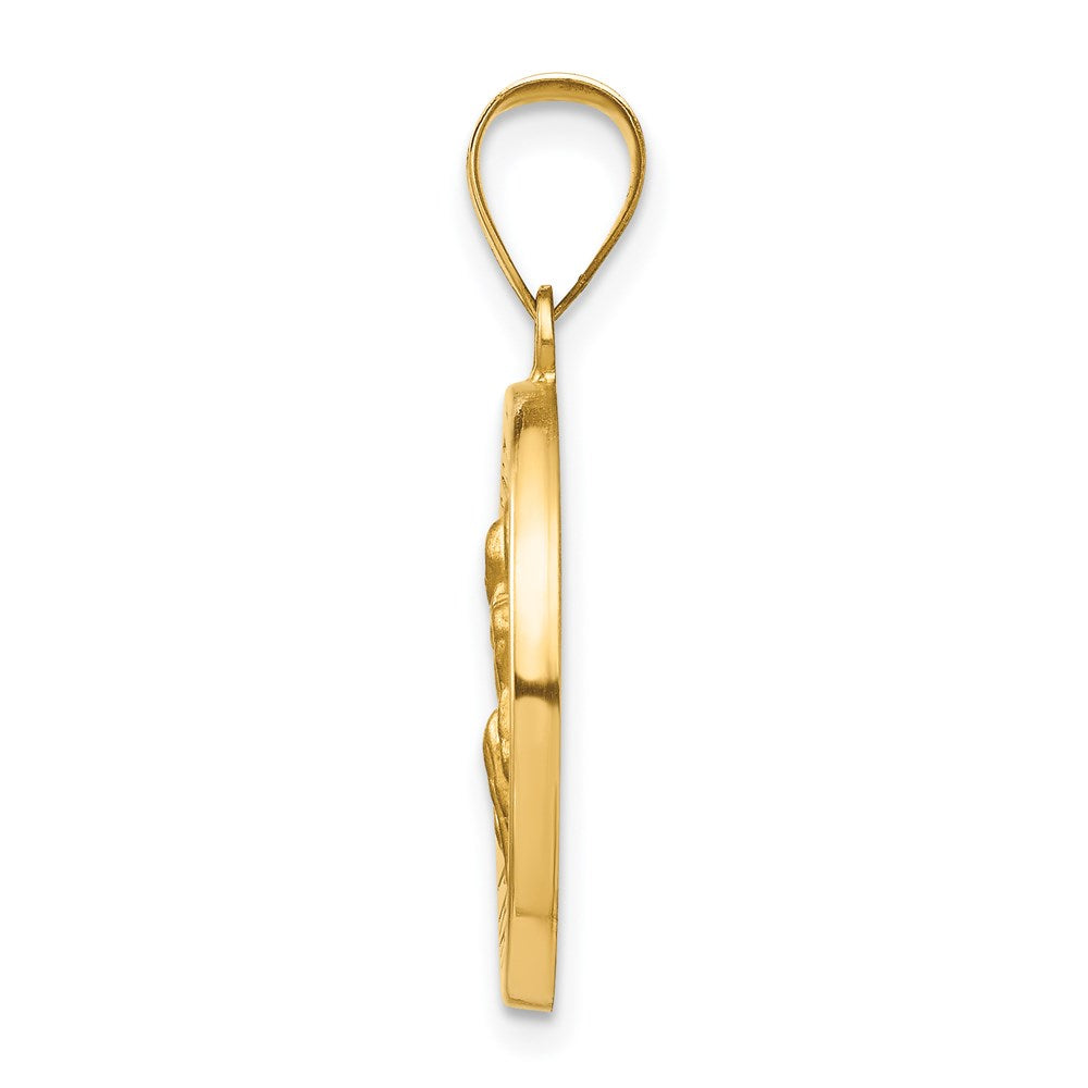 FJC Finejewelers 14 kt Yellow Gold Polished and Satin St Peregrine Medal Hollow Charm 21 x 19 mm