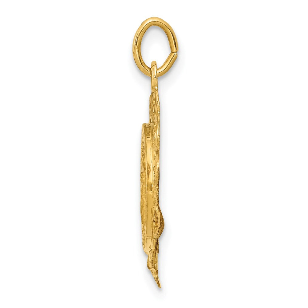 FJC Finejewelers 14 kt Yellow Gold Polished/Satin Spanish Guardian Angel Medal Hollow Charm 24 x 18 mm