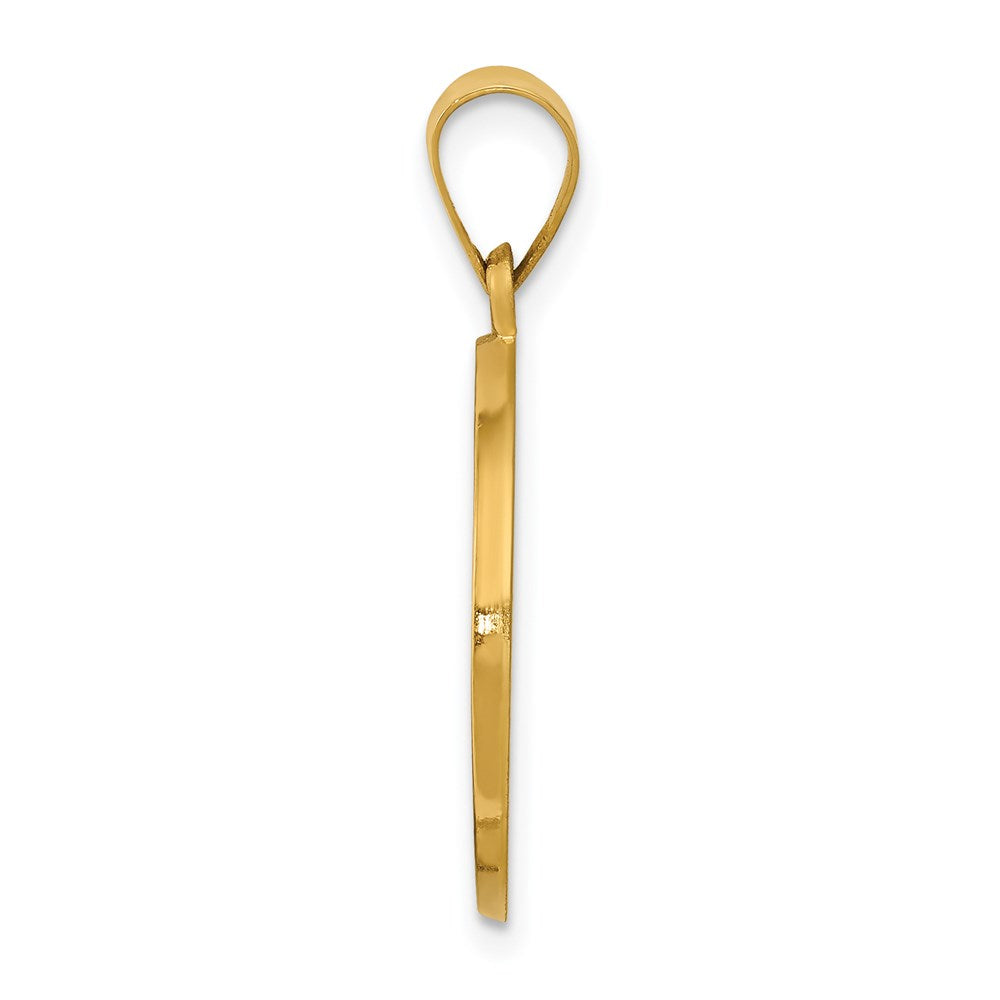 FJC Finejewelers 14 kt Yellow Gold Polished/Satin St. Daniel Hollow Medal Charm 26 x 18 mm