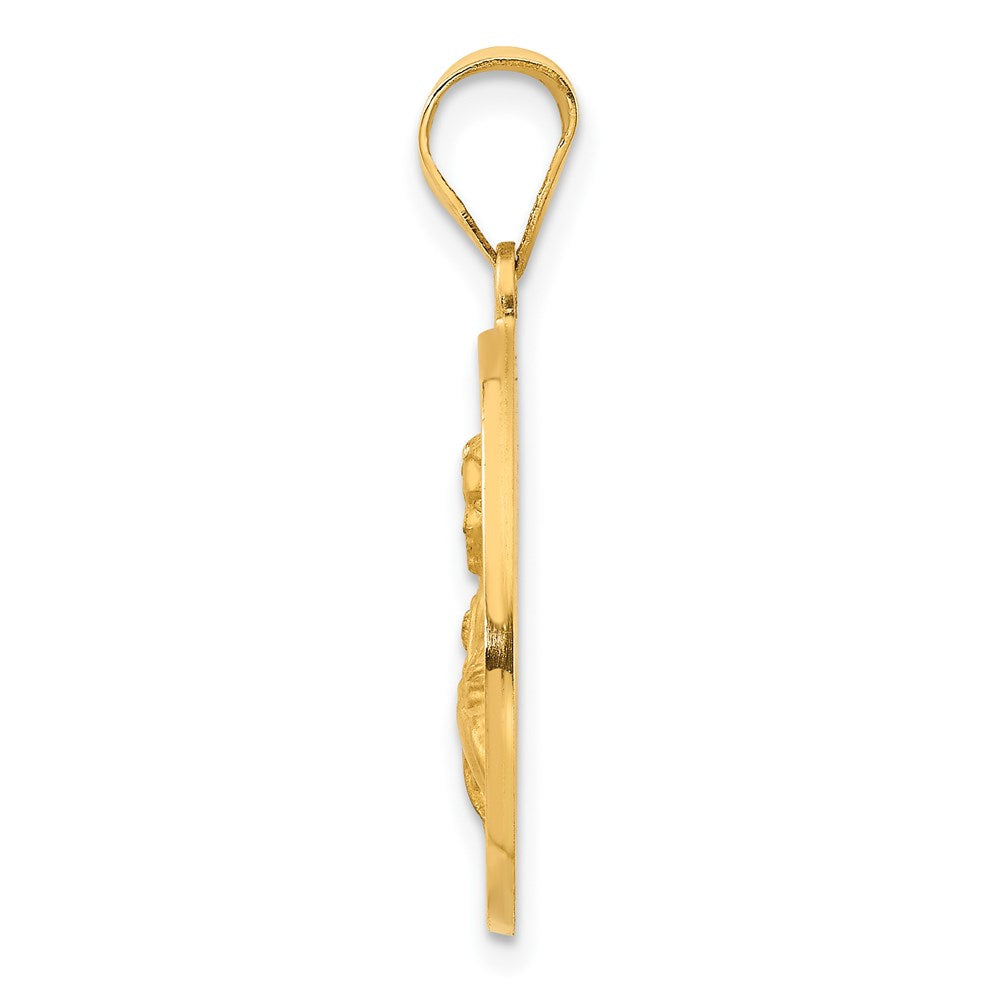 FJC Finejewelers 14 kt Yellow Gold Polished / Satin St. Maria Goretti Hollow Medal Charm 25 x 18 mm