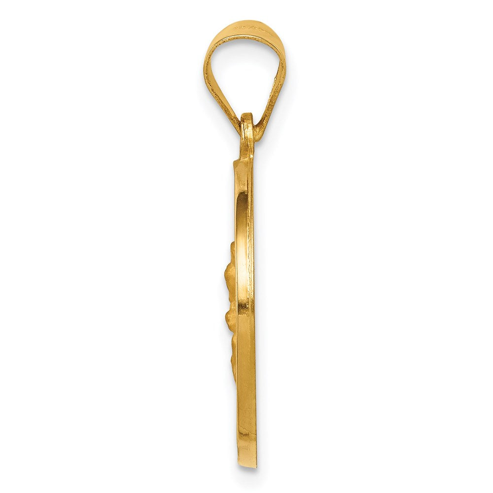 FJC Finejewelers 14 kt Yellow Gold Hollow Polished/Satin Spanish Perpetuo Socorro Medal 25 x 19 mm