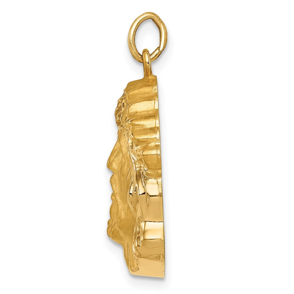 FJC Finejewelers 14 kt Yellow Gold Hollow Polished/Satin Medium Jesus Medal
