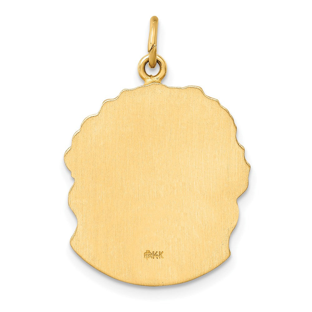 FJC Finejewelers 14 kt Yellow Gold Hollow Polished/Satin Medium Jesus Medal