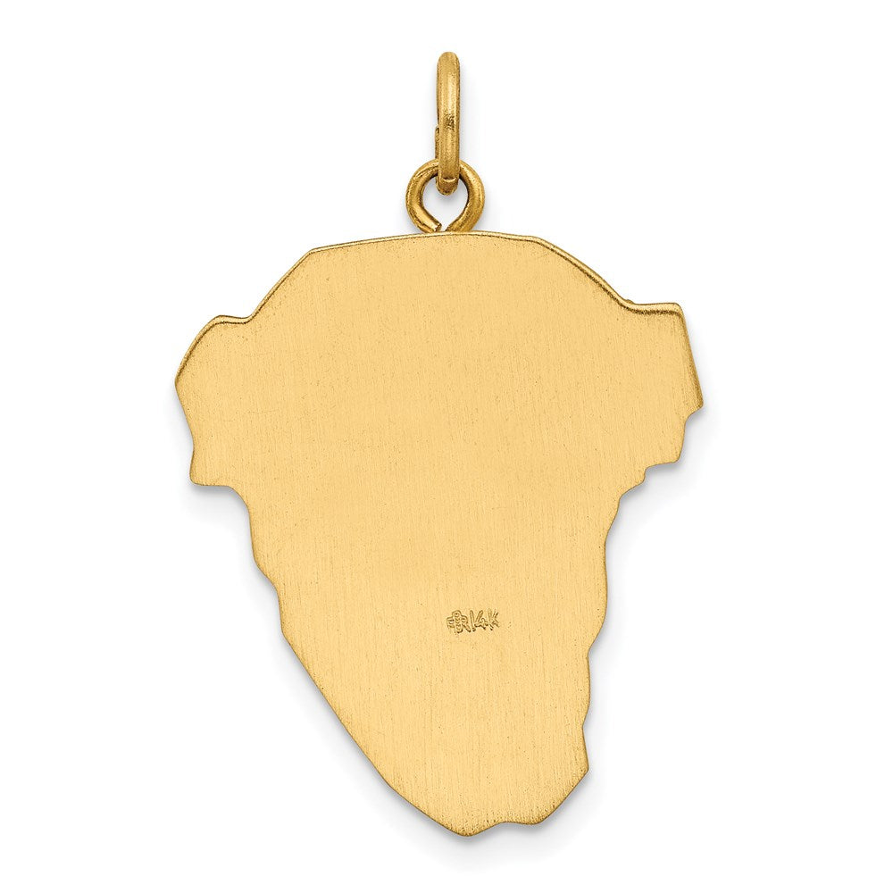 FJC Finejewelers 14 kt Yellow Gold Hollow Polished/Satin with Rhodium Large Jesus Medal