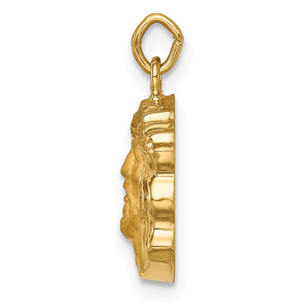 FJC Finejewelers 14 kt Yellow Gold Hollow Polished/Satin Small Jesus Medal