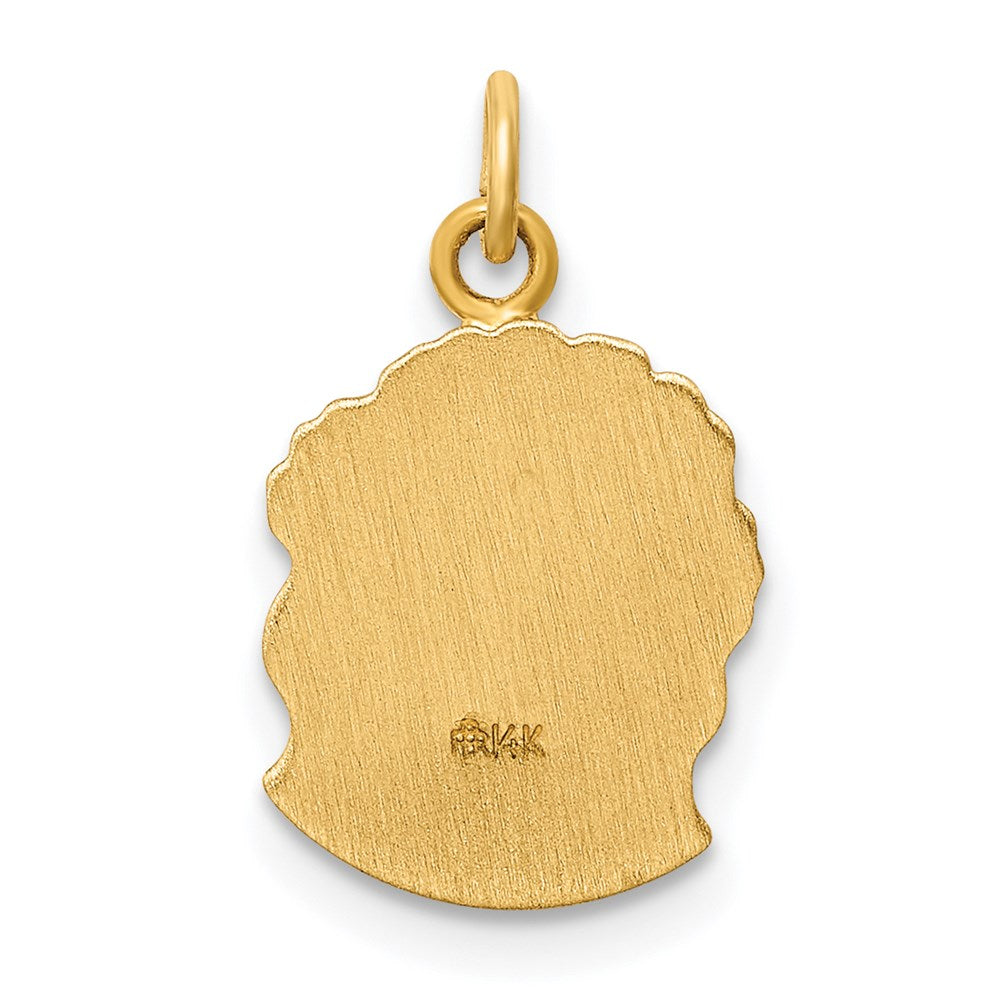 FJC Finejewelers 14 kt Yellow Gold Hollow Polished/Satin Small Jesus Medal