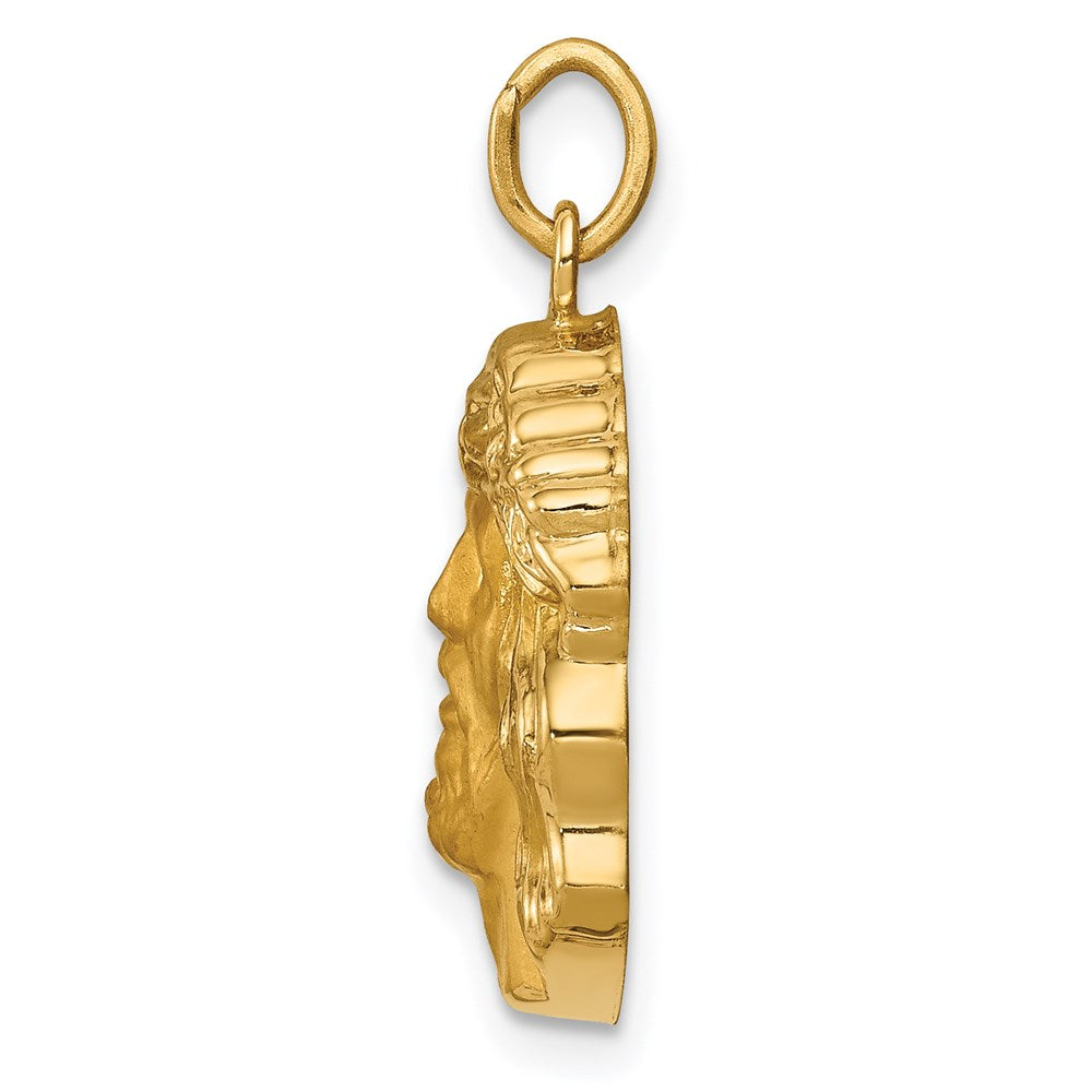 FJC Finejewelers 14 kt Yellow Gold Hollow Polished/Satin Medium Jesus Medal