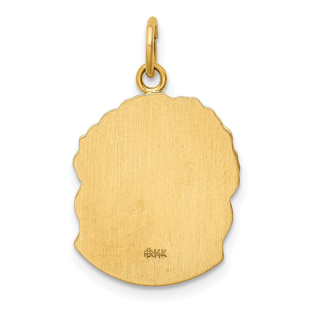FJC Finejewelers 14 kt Yellow Gold Hollow Polished/Satin Medium Jesus Medal