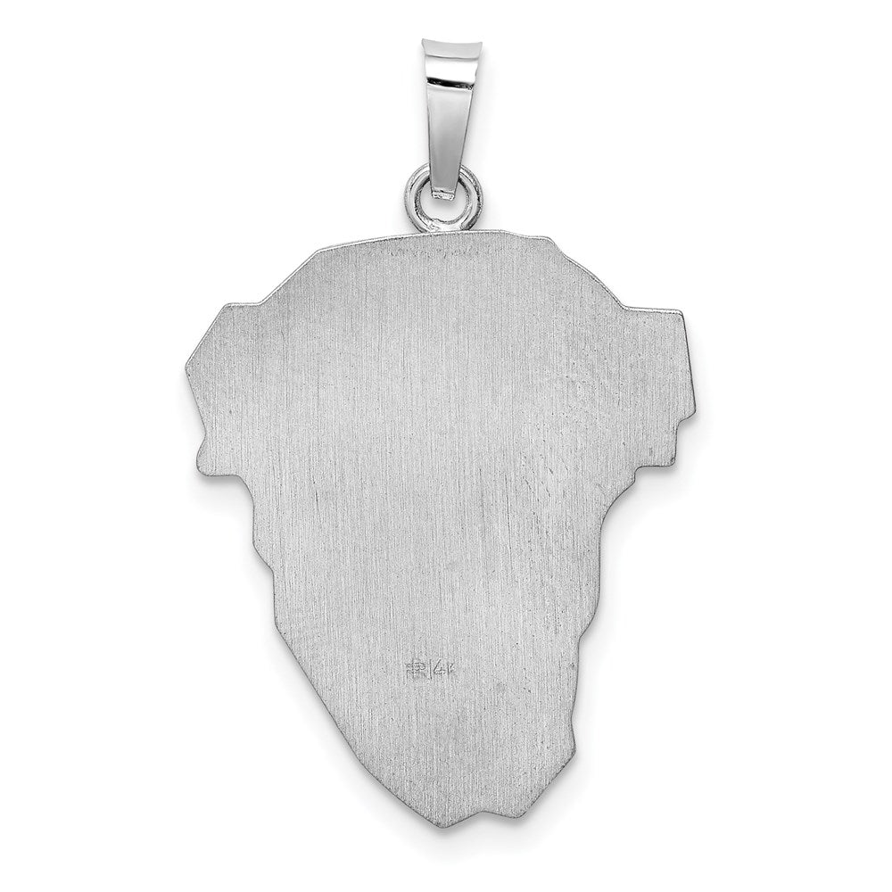 FJC Finejewelers 14 kt White Gold Hollow Polished Satin Medium Jesus Medal
