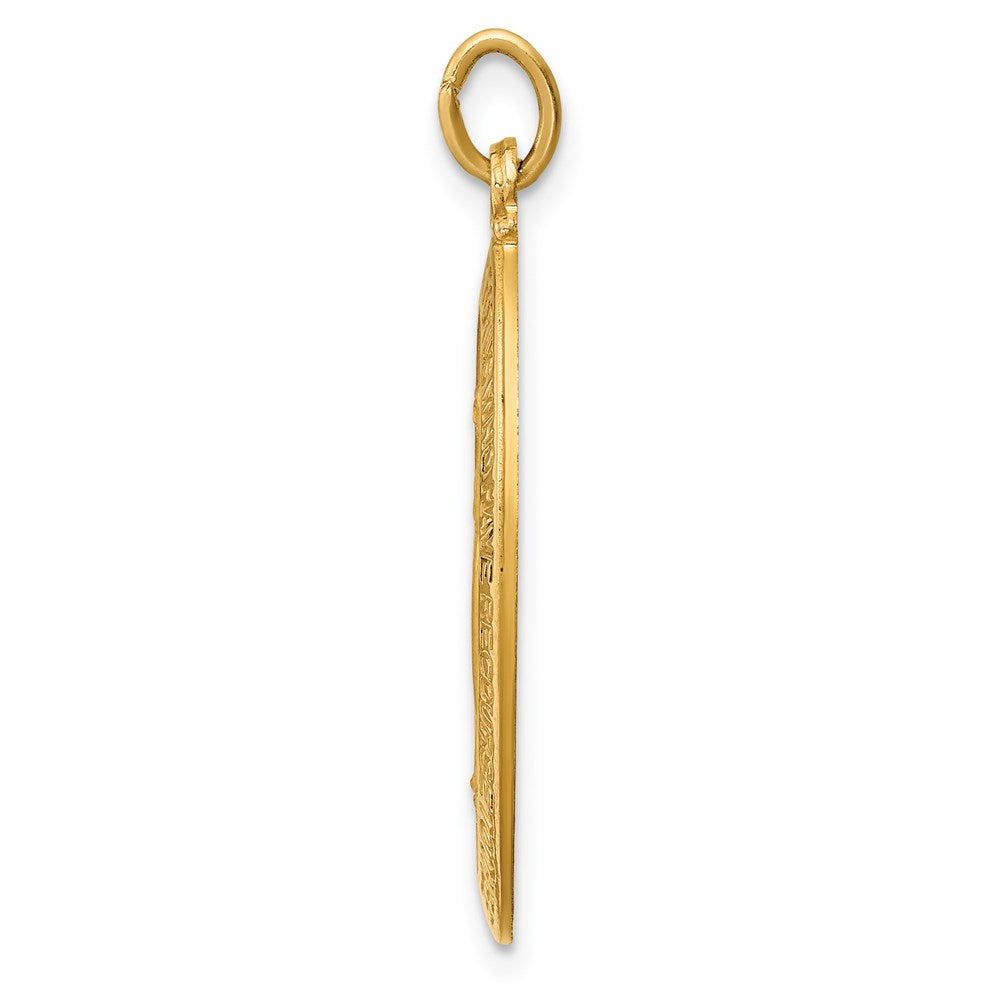 FJC Finejewelers 14 kt Yellow Gold Solid Polished/Satin Medium Oval Miraculous Medal 29 x 16 mm