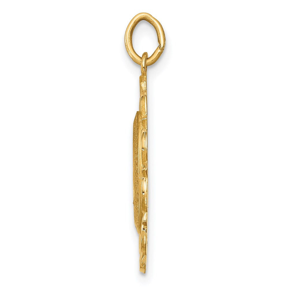 FJC Finejewelers 14 kt Yellow Gold Solid Polished/Satin Small Fancy Oval Miraculous Medal 25 x 15 mm