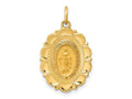 FJC Finejewelers 14 kt Yellow Gold Solid Polished/Satin Small Fancy Oval Miraculous Medal 25 x 15 mm