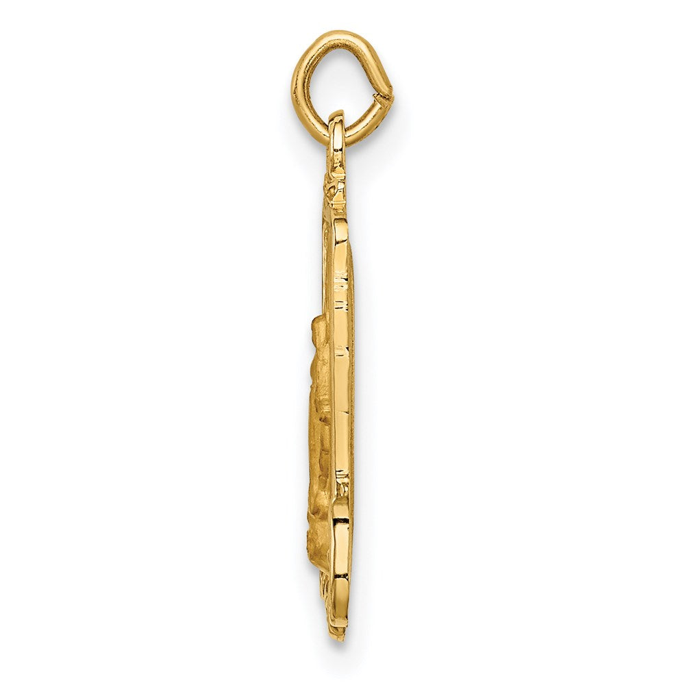 FJC Finejewelers 14 kt Yellow Gold Solid Polished/Satin Rectangular Miraculous Medal 20 x 11 mm