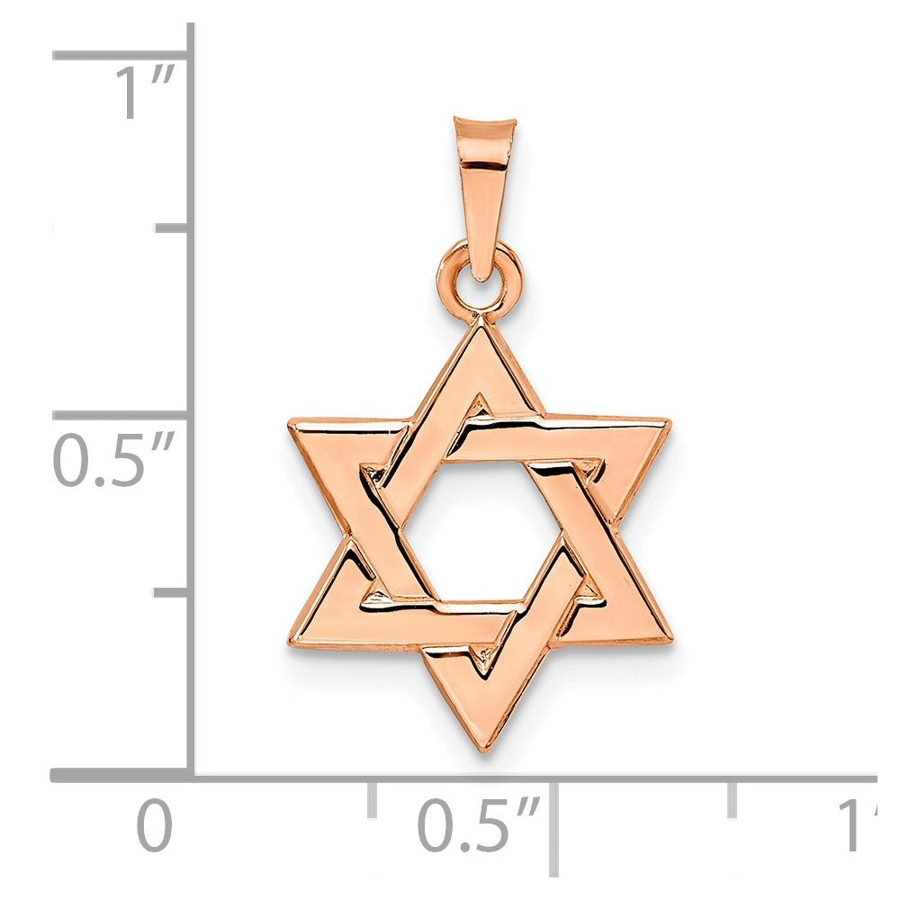 FJC Finejewelers 14 kt Rose Gold Rose Polished Solid Star of David Charm 21 x 15 mm