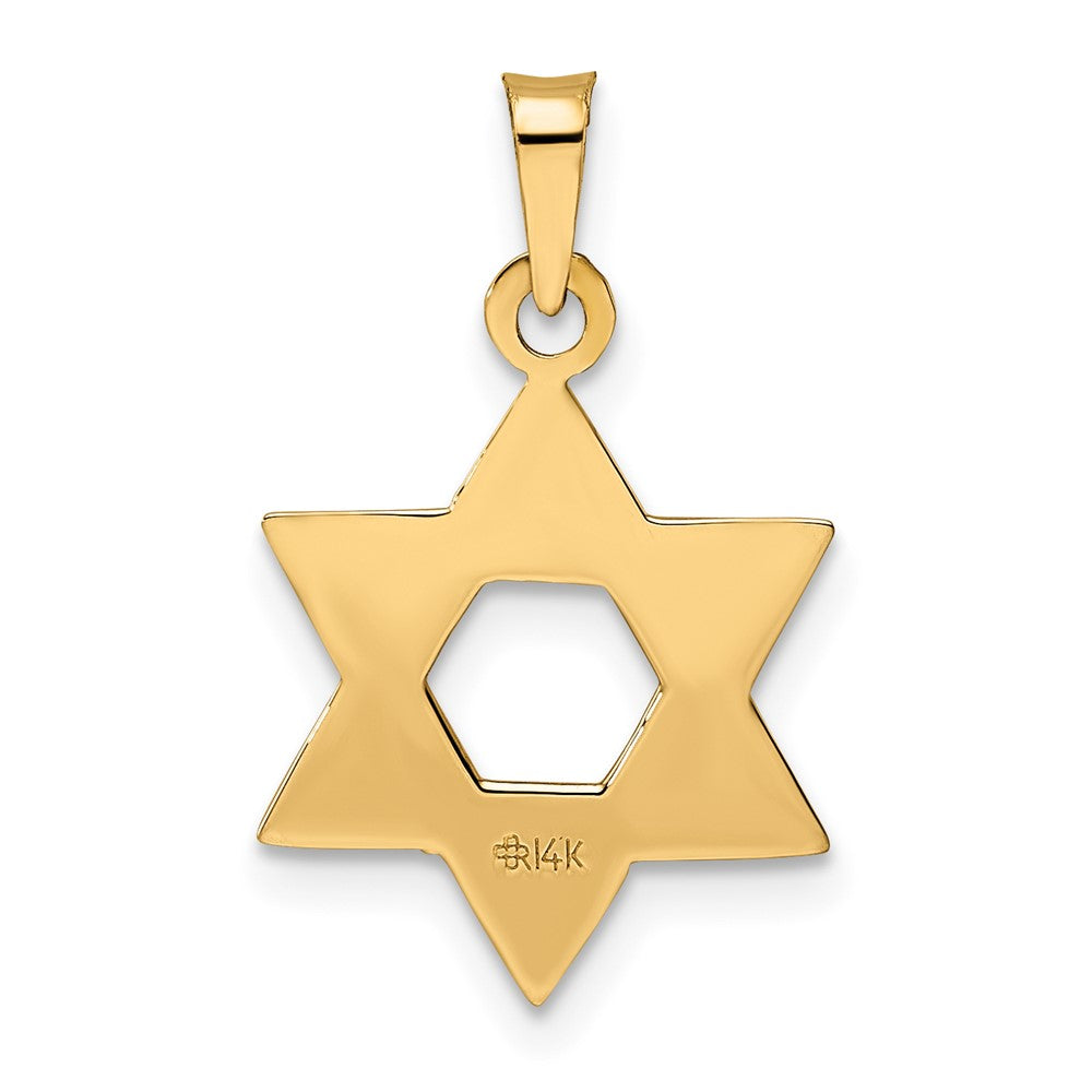 FJC Finejewelers 14 kt Rose Gold Rose Polished Solid Star of David Charm 21 x 15 mm