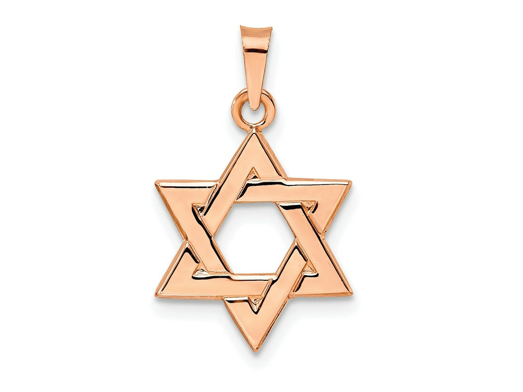 FJC Finejewelers 14 kt Rose Gold Rose Polished Solid Star of David Charm 21 x 15 mm