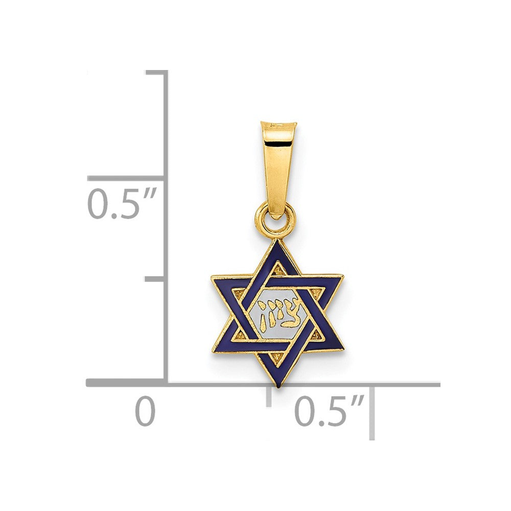 FJC Finejewelers 14 kt Yellow Gold Polished and Enameled Solid Star of David Charm 16 x 8 mm