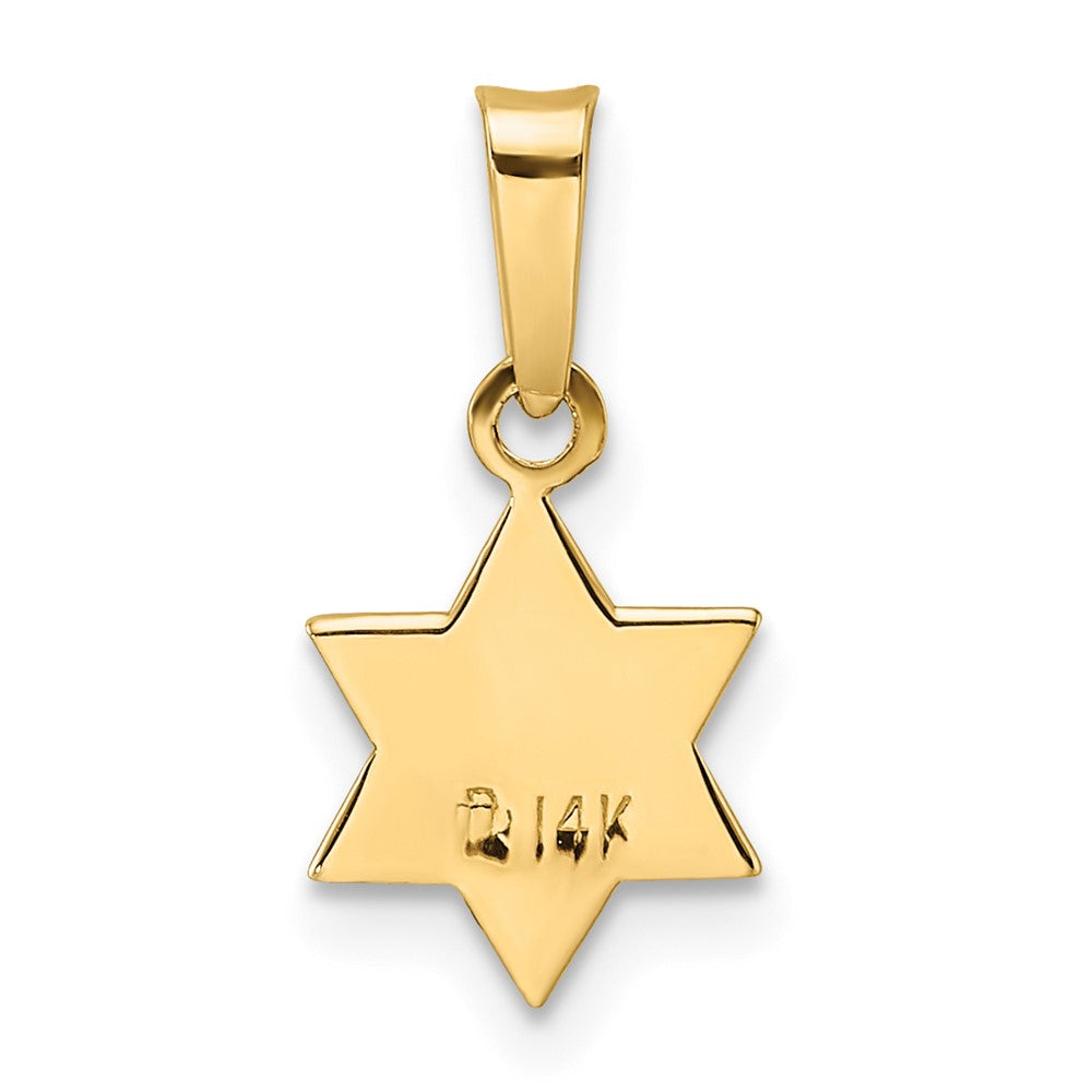 FJC Finejewelers 14 kt Yellow Gold Polished and Enameled Solid Star of David Charm 16 x 8 mm