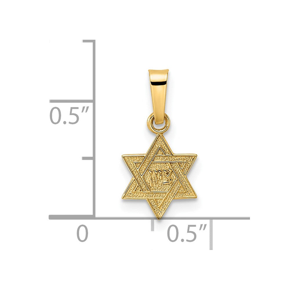 FJC Finejewelers 14 kt Yellow Gold Polished and Textured Solid Star of David Charm 16 x 8 mm