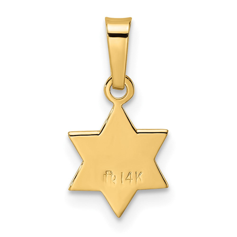 FJC Finejewelers 14 kt Yellow Gold Polished and Textured Solid Star of David Charm 16 x 8 mm