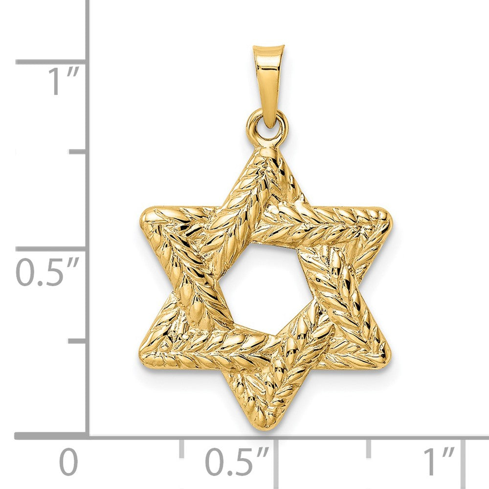 FJC Finejewelers 14 kt Yellow Gold Polished and Textured Solid Star of David Charm 26 x 20 mm