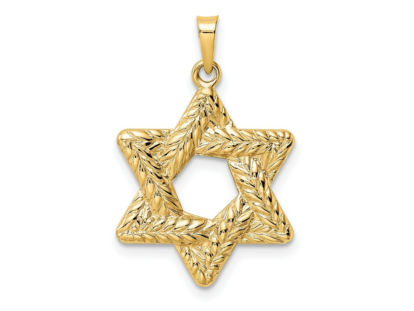 FJC Finejewelers 14 kt Yellow Gold Polished and Textured Solid Star of David Charm 26 x 20 mm