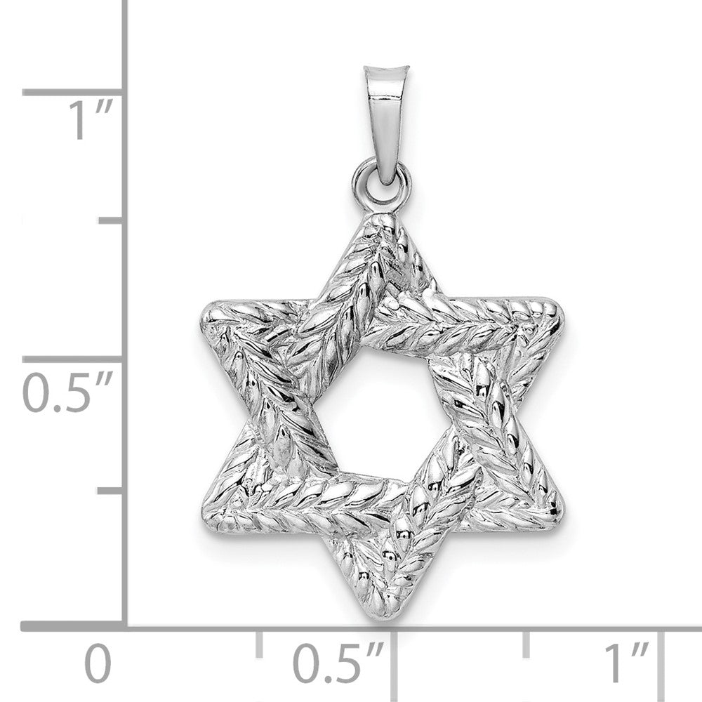 FJC Finejewelers 14 kt White Gold Polished and Textured Solid Star of David Charm 26 mm x 20 mm