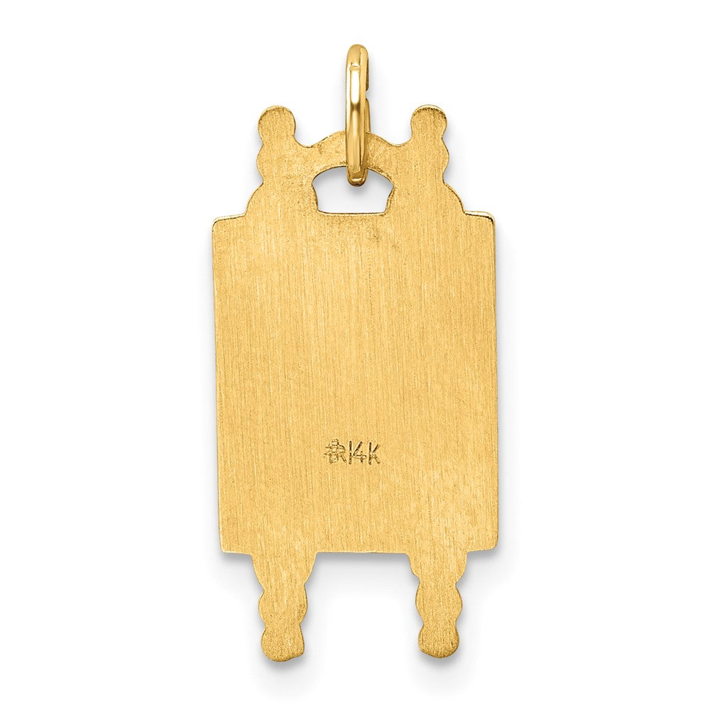 FJC Finejewelers 14 kt Yellow Gold Polished Solid Torah and Enameled Star of David Charm 22 x 10 mm