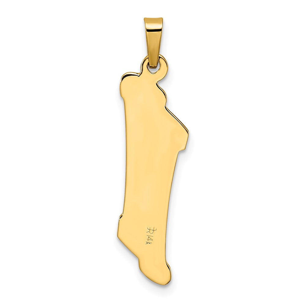 FJC Finejewelers 14 kt Two Tone Gold Polished and Textured Hollow Mezuzah Charm 31 x 7 mm