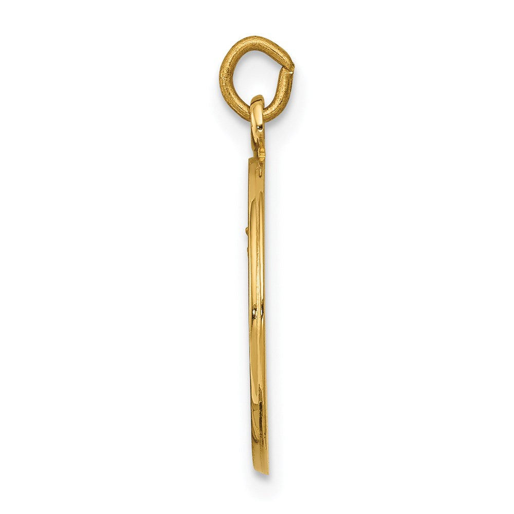 FJC Finejewelers 14 kt Yellow Gold Our Lady of Mount Carmel Medal Charm 20 x 15 mm