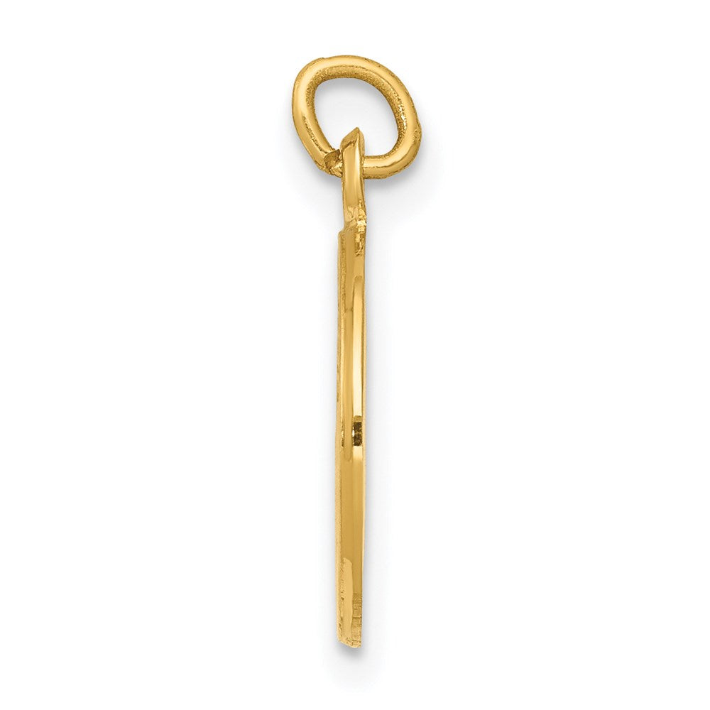 FJC Finejewelers 14 kt Yellow Gold First Communion Medal Charm 16 x 12 mm